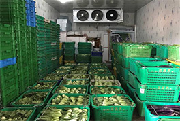 700㎡的生鮮果蔬冷庫工程要怎么設計才合適