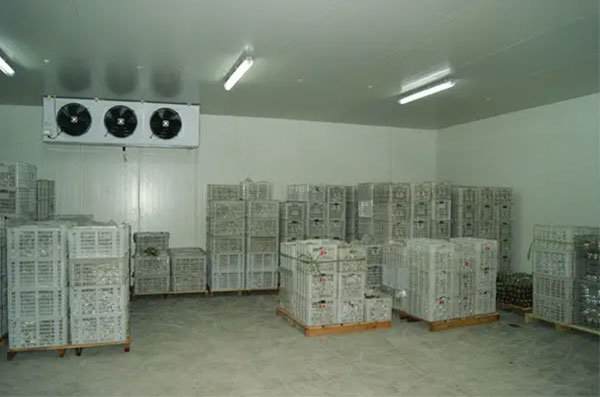 果蔬氣調(diào)冷庫(kù)
